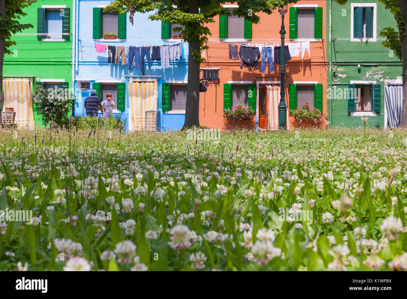 Un bellissimo fiore spazio verde tra le case colorate di Burano Venezia Italia Foto Stock