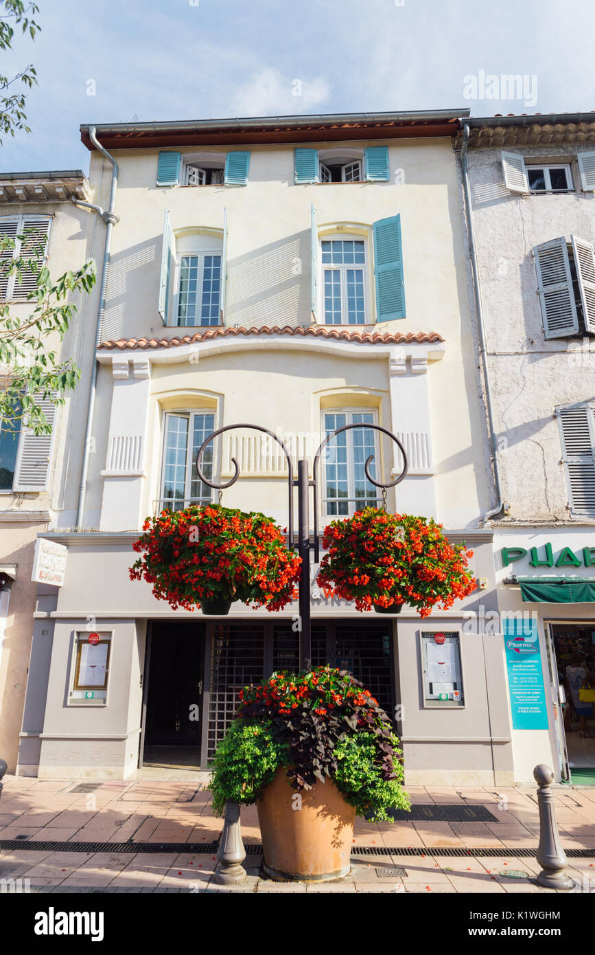 Tradizionali di piante in vaso a Antibes, Cote d'Azur, in Francia con edifici provenzale Foto Stock