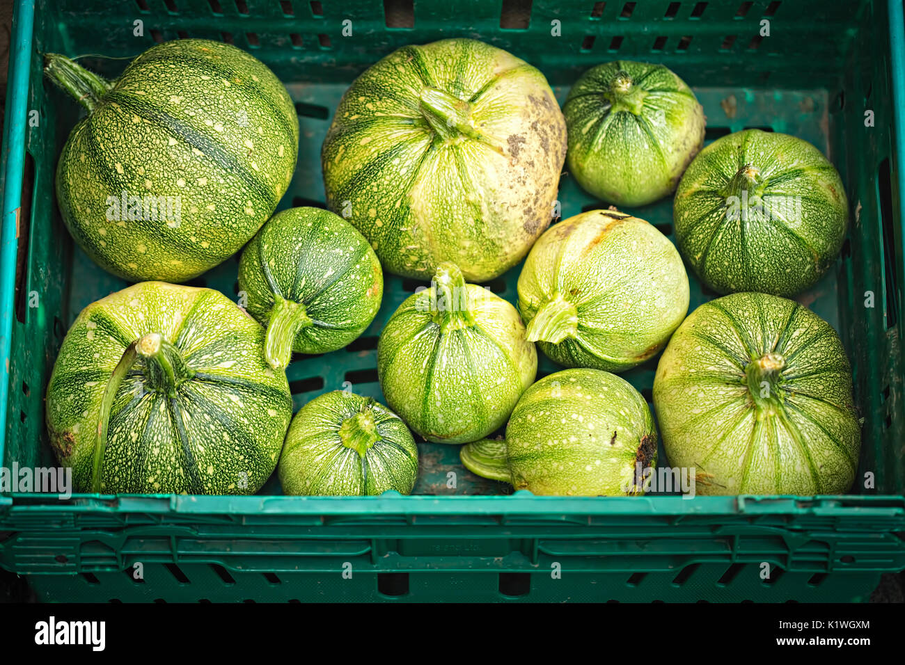 Giovani verde acorn squash nel contenitore verde sul mercato alimentare Foto Stock