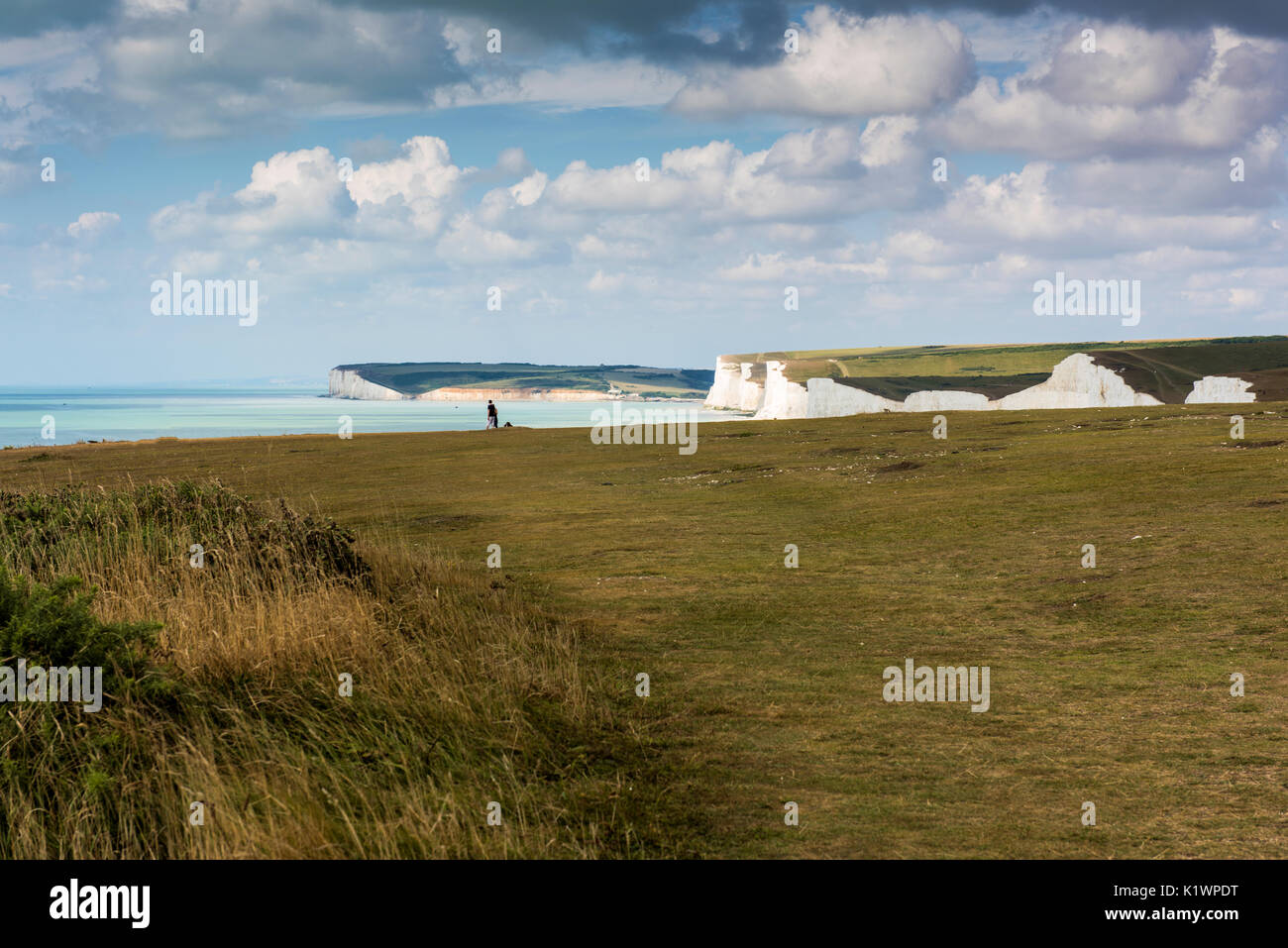 La zona di chalk terrapieni in East Sussex, Inghilterra chiamato Beachy Head. Si trova molto vicino a Eastbourne ed è famoso per il suo faro. Foto Stock