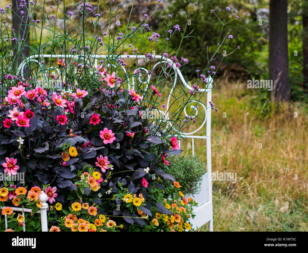 Letto letterale di fiori Foto Stock