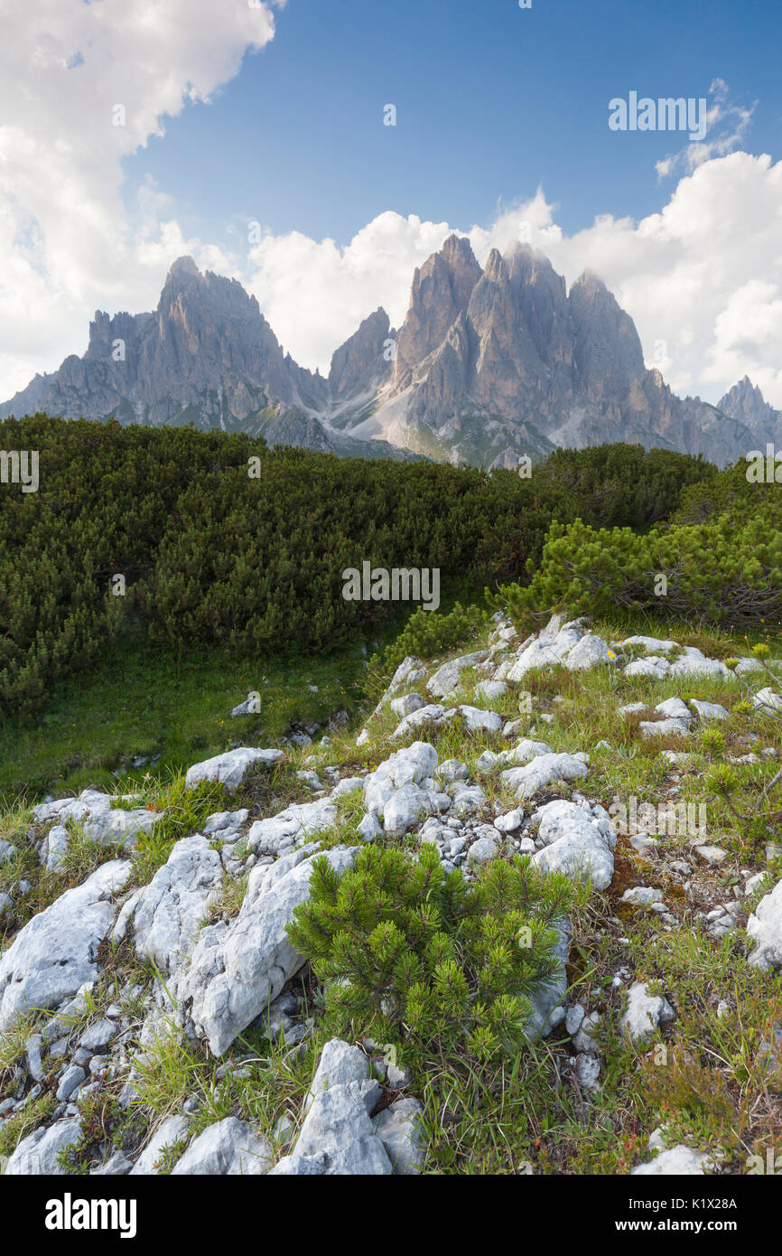 L'Europa, Italia, Veneto, Cadore. I Cadini di Misurina visto dalla Croda di Campoduro, Dolomiti Foto Stock