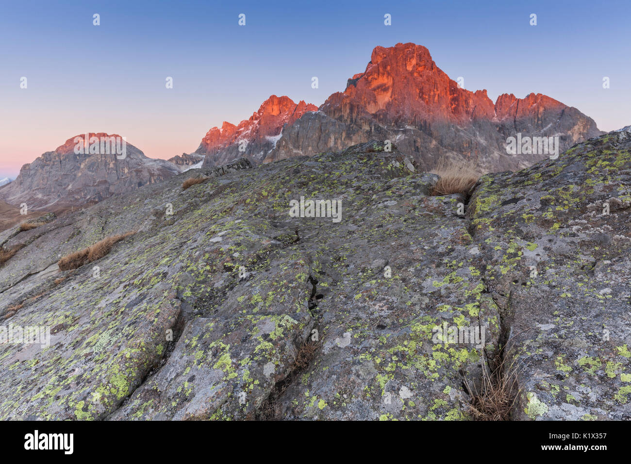 L'Europa, Italia, Trentino Alto Adige. Alpenglow sul Cimon della Pala, Bureloni e il Monte Mulaz, come si vede dalla Cavallazza Piccola, la catena montuosa del Lagorai Foto Stock