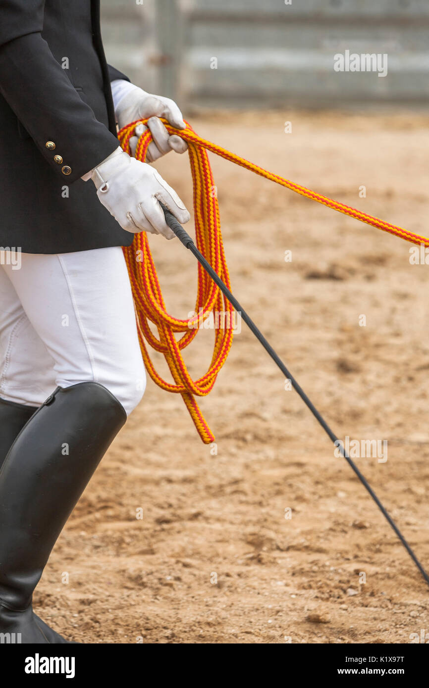 Prova equestre di morfologia per puro cavalli spagnoli, dettaglio della frusta e corde per cavalli dressage, Spagna Foto Stock