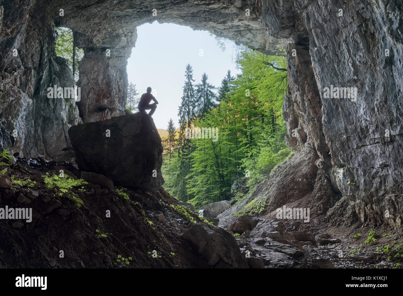 L'Europa, Italia, Friuli Venezia Giulia, Claut, provincia di Pordenone. Il Landre Scur grotta nella foresta di Lesis Foto Stock