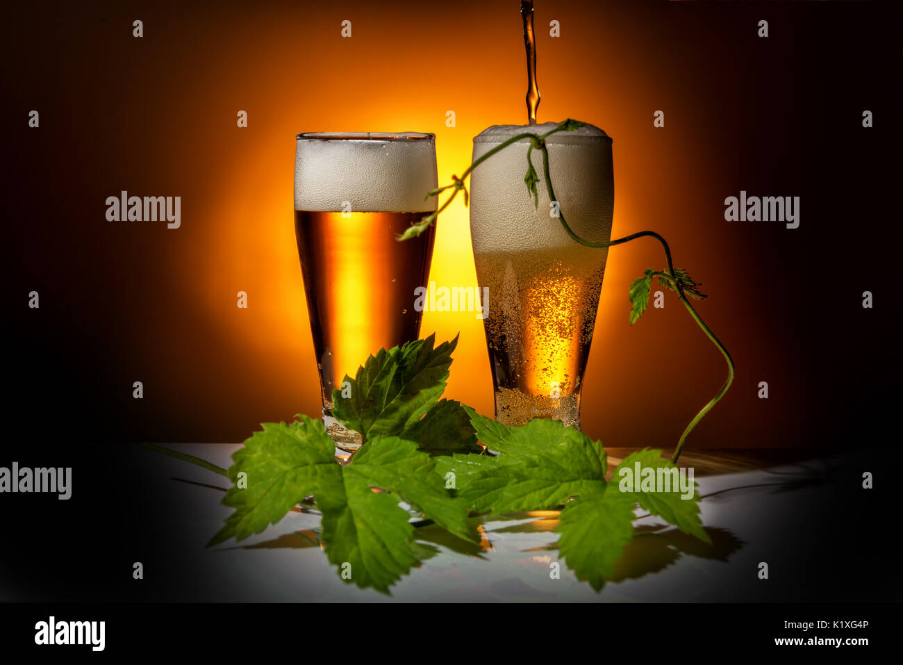 Versa due bicchieri di birra, con foglie di luppolo su uno sfondo luminoso, concetto di Oktoberfest Foto Stock