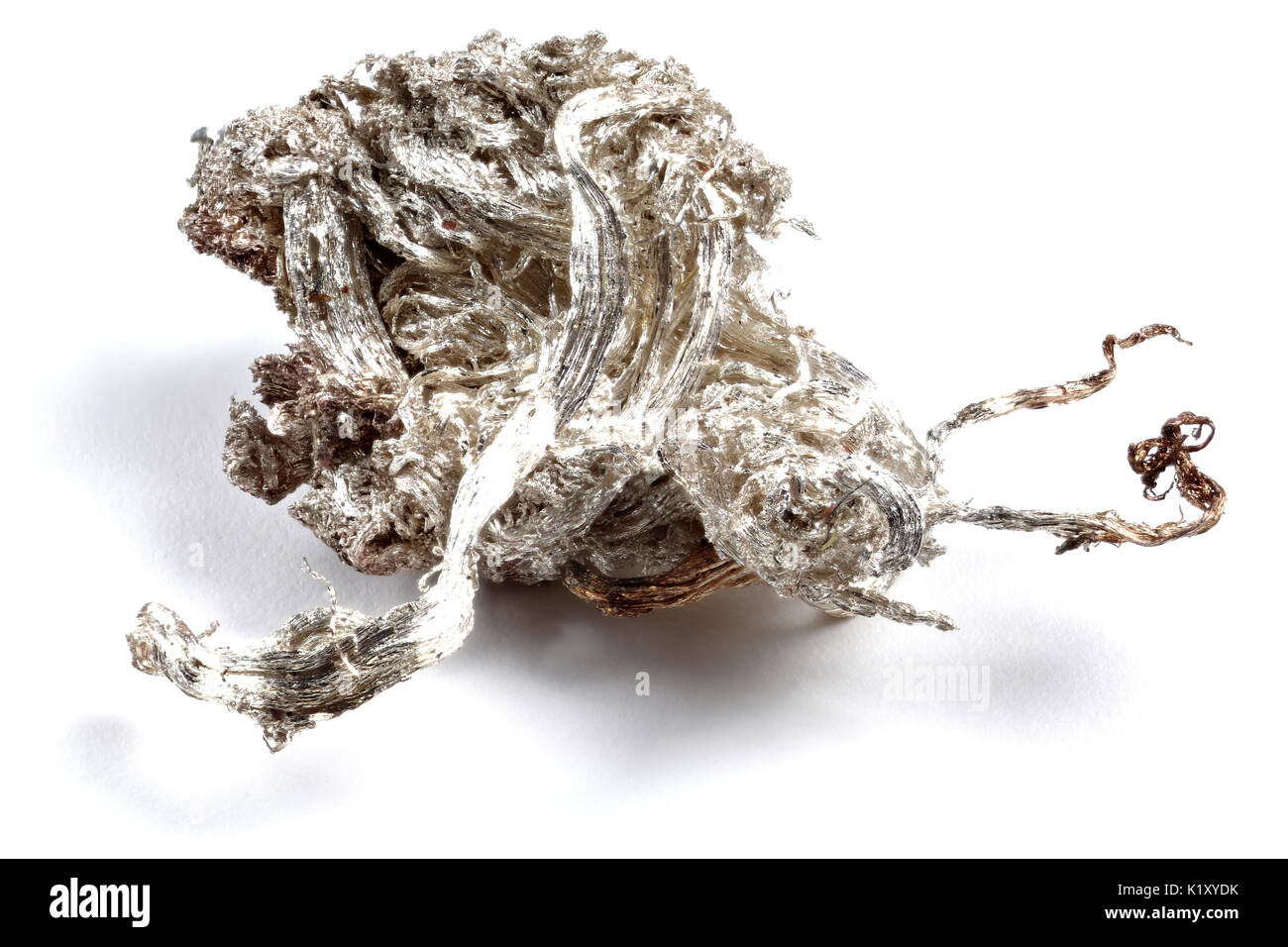 Argento naturale riccioli da Lauter (Monti Metalliferi / Germania) isolato su sfondo bianco Foto Stock