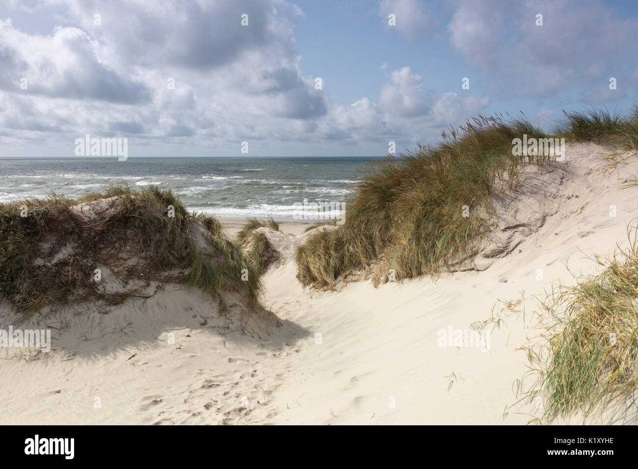 Vista attraverso le dune del mare del Nord per la spiaggia di un soleggiato ma ventoso giornata con cielo molto nuvoloso Foto Stock