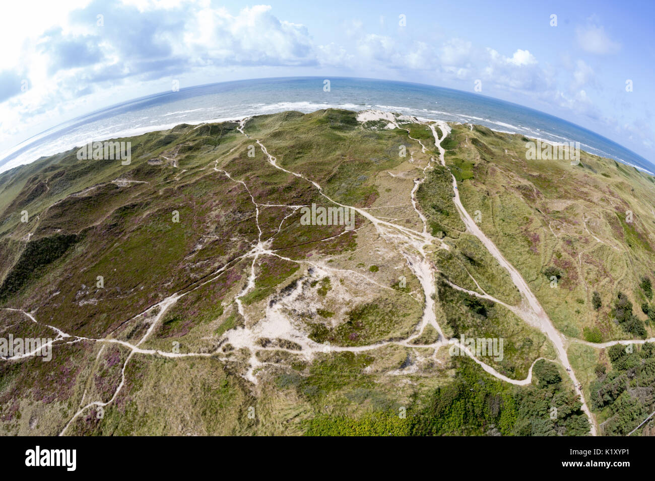 Dune del mare del Nord sulla costa occidentale della Danimarca Foto Stock