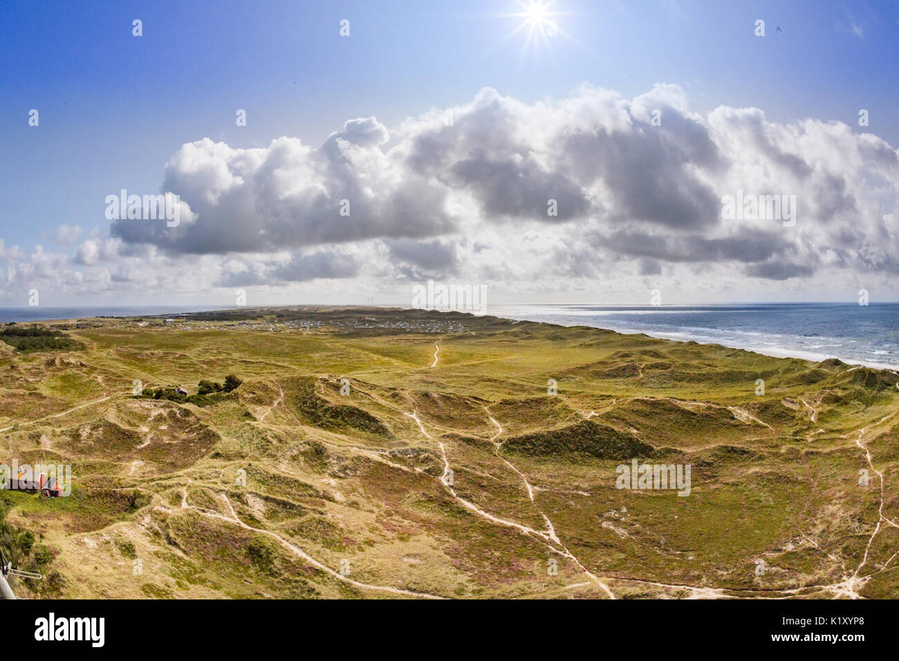 Dune del mare del Nord sulla costa occidentale della Danimarca Foto Stock