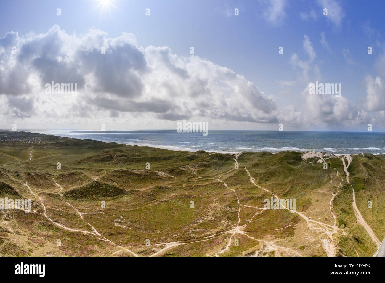 Dune del mare del Nord sulla costa occidentale della Danimarca Foto Stock