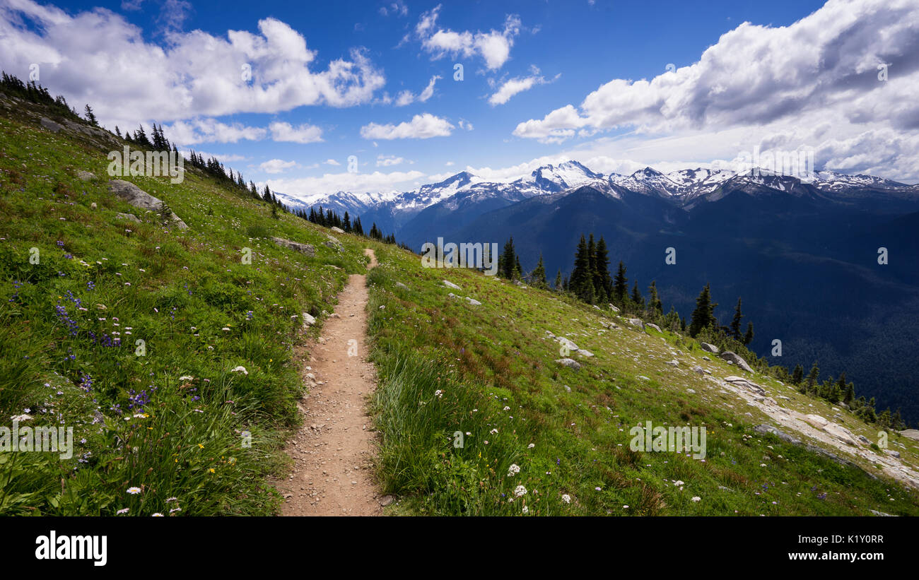 Sentiero escursionistico sul Monte Blackcomb, Whistler, British Columbia, Canada Foto Stock