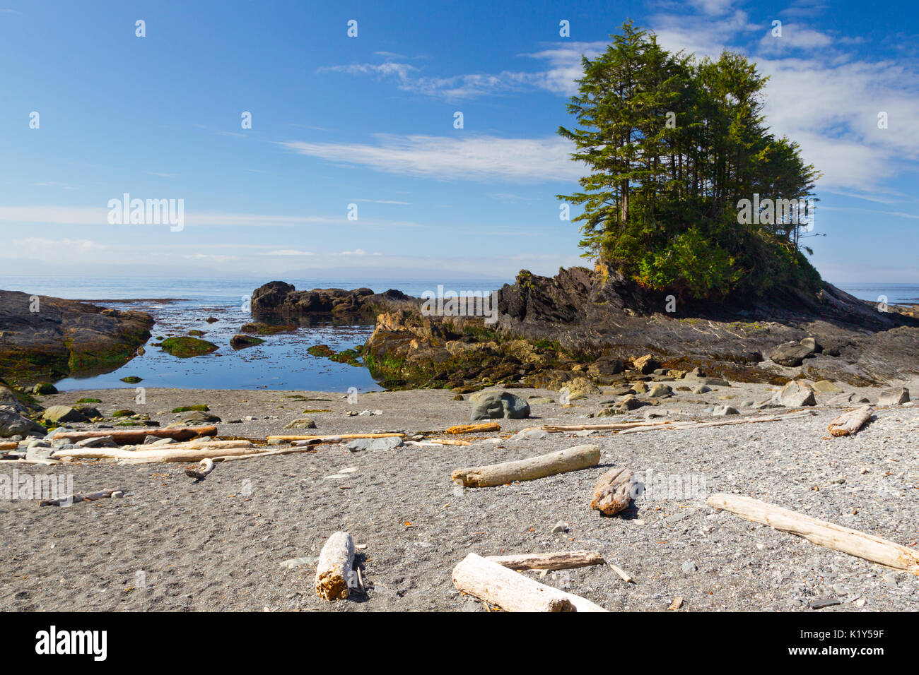 Il paesaggio costiero a Botanical Beach in Juan de Fuca Parco Provinciale vicino a Port Renfrew sull'Isola di Vancouver, British Columbia, Canada. Foto Stock