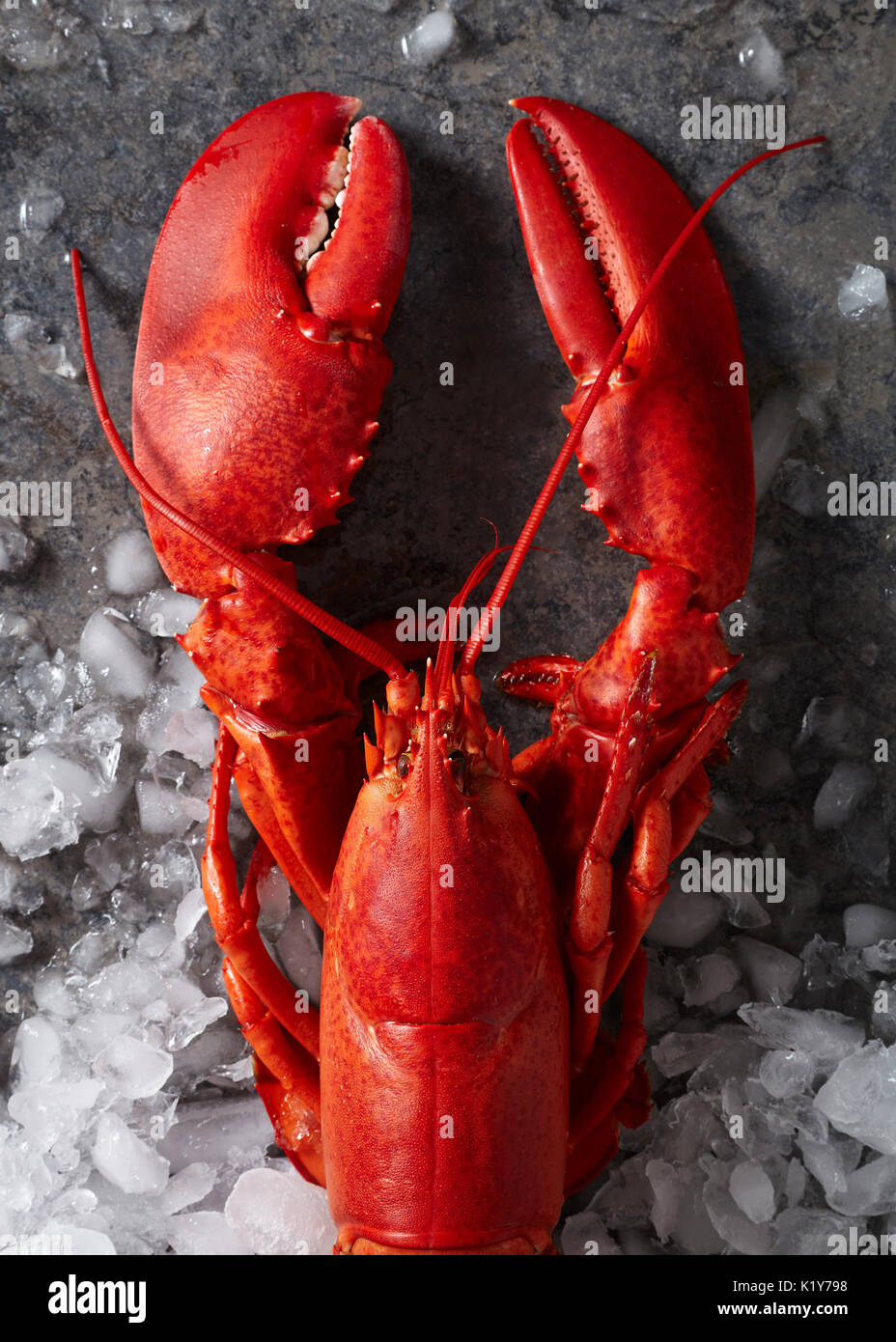 In prossimità di un grande complesso red lobster su un chiazzato superficie grigia sparse con ghiaccio tritato. Foto Stock