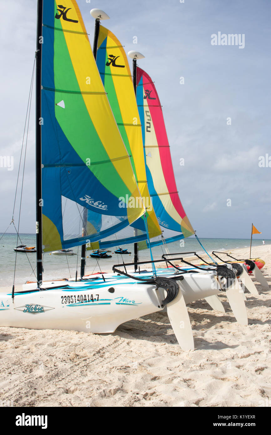 Fila di barche a vela con vele luminose su una spiaggia caraibica con sabbia bianca e blu oceano visibile. Foto Stock