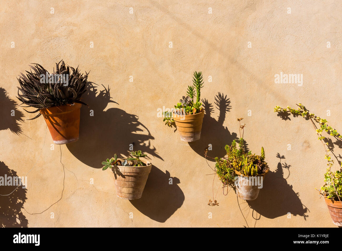 Diverse piante colorate o vasi di fiori appesi a un muro di pietra in splendido antico mediterraneo idilliaco villaggio lonesome town Foto Stock