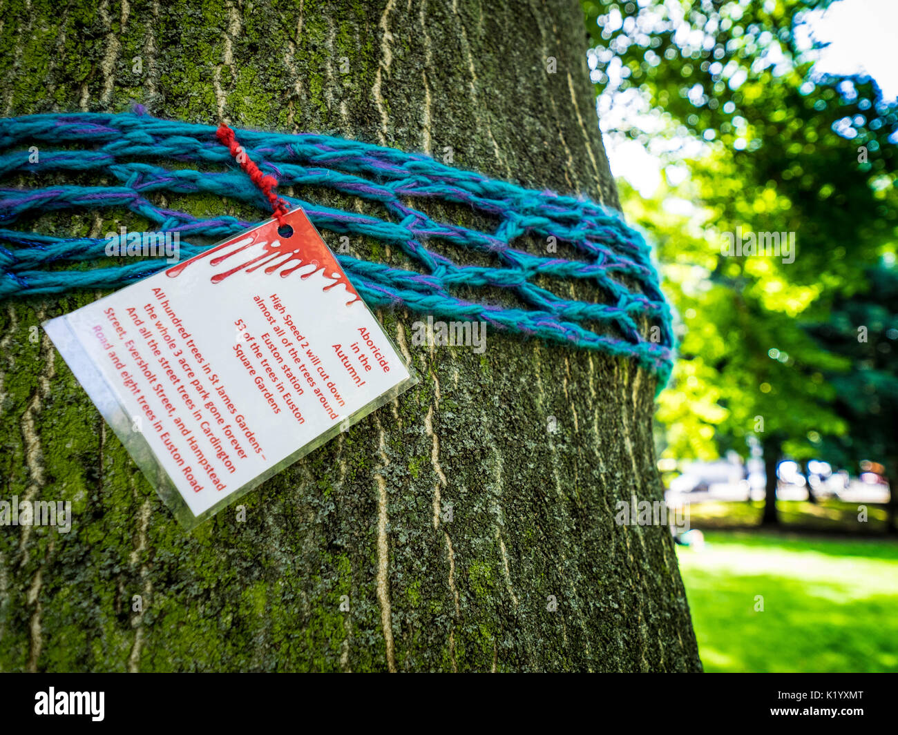 Sciarpe a maglia messo intorno agli alberi in segno di protesta per la loro imminente distruzione a Euston Square Gardens a Londra centrale, per l'HS2 Sviluppo Foto Stock