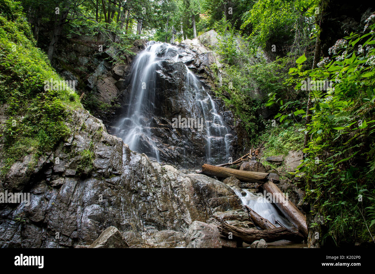 Cascate lungo il torrente Cervo Trail in montagna hiteface in Wilmington NY Foto Stock