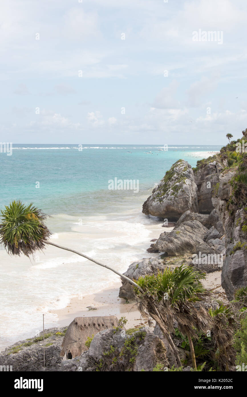 Spiaggia tropicale con topazio azzurro acqua, appoggiata Palm tree, sabbia bianca e scogliere rocciose. Foto Stock