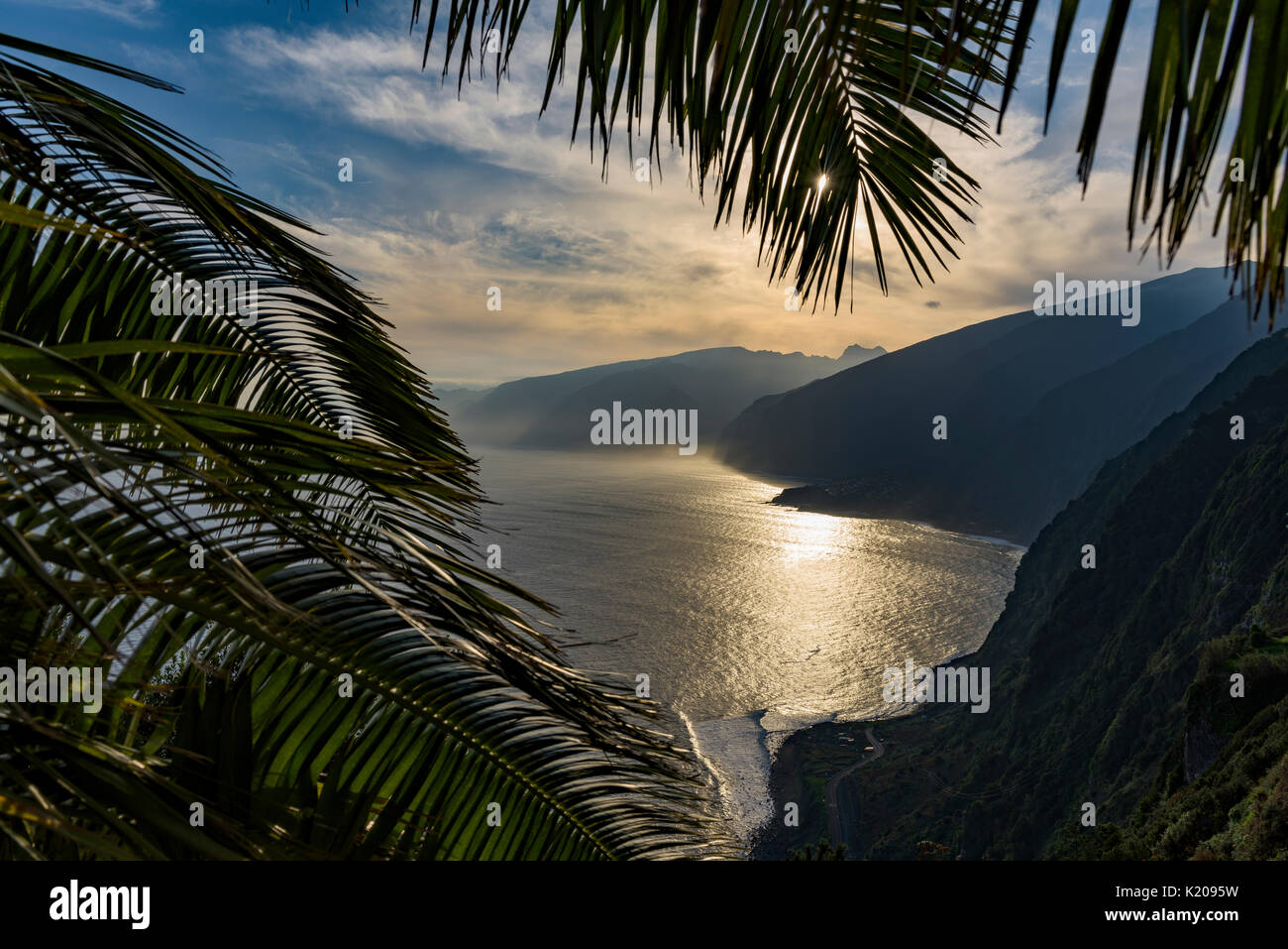 Foglie di palma e costa nord, retroilluminato, Porto Moniz, Madeira, Portogallo Foto Stock