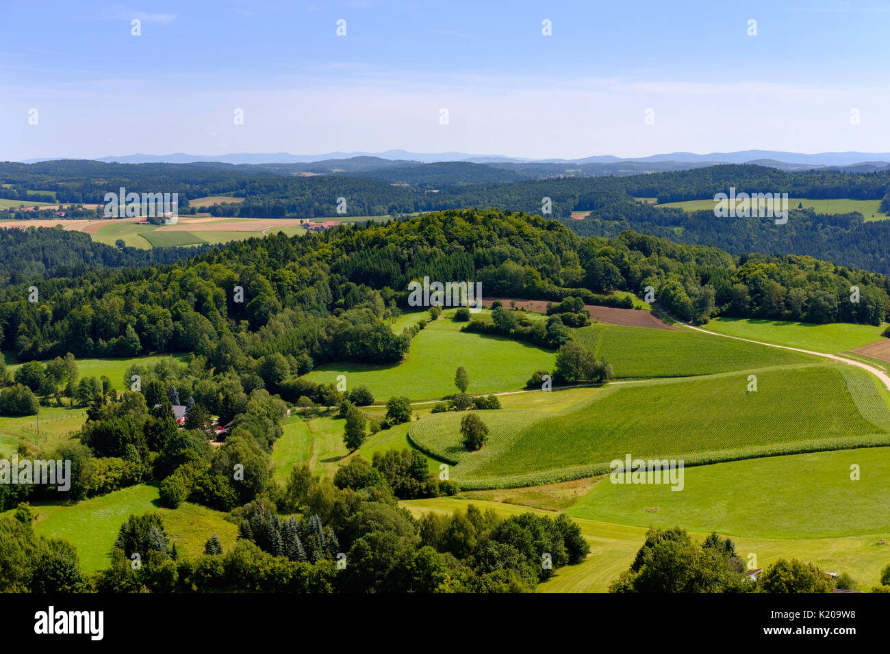Vista dal castello Burg Brennberg, Foresta Bavarese, Alto Palatinato, Baviera, Germania Foto Stock