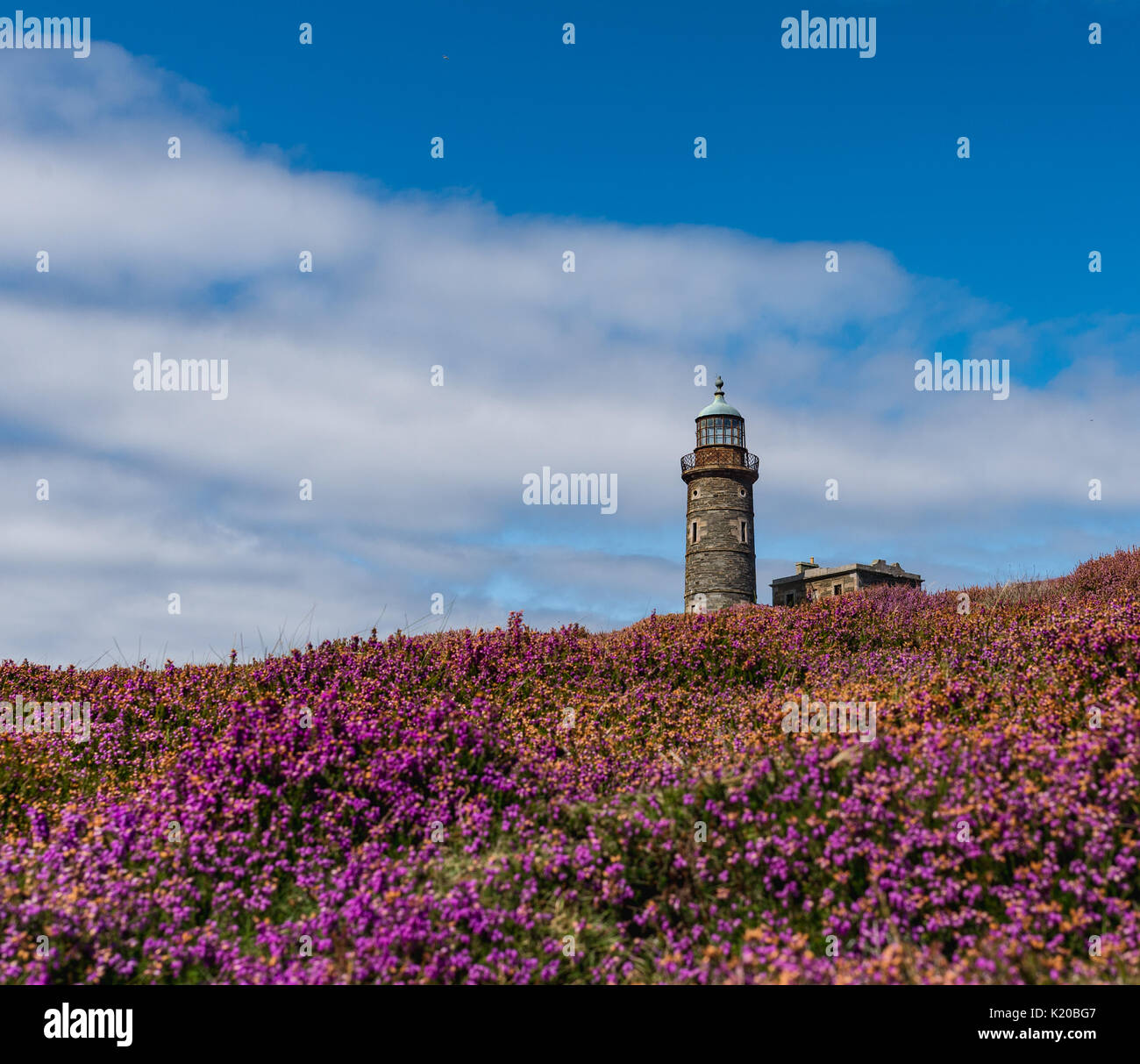 Faro superiore torre sul polpaccio dell uomo Foto Stock