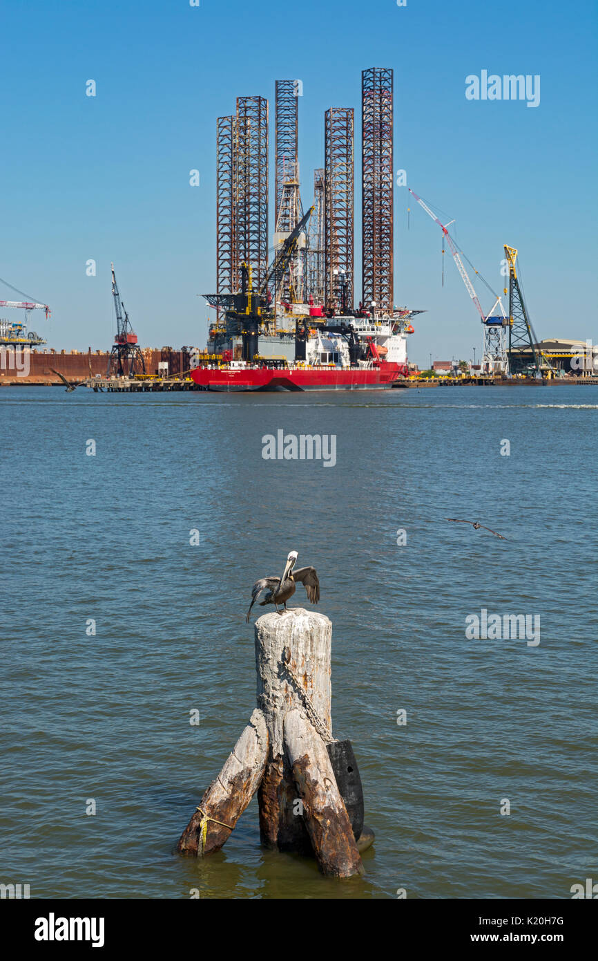 Texas, Galveston, porto, pelican su pali, di perforazione offshore rig e nave di sostegno Foto Stock