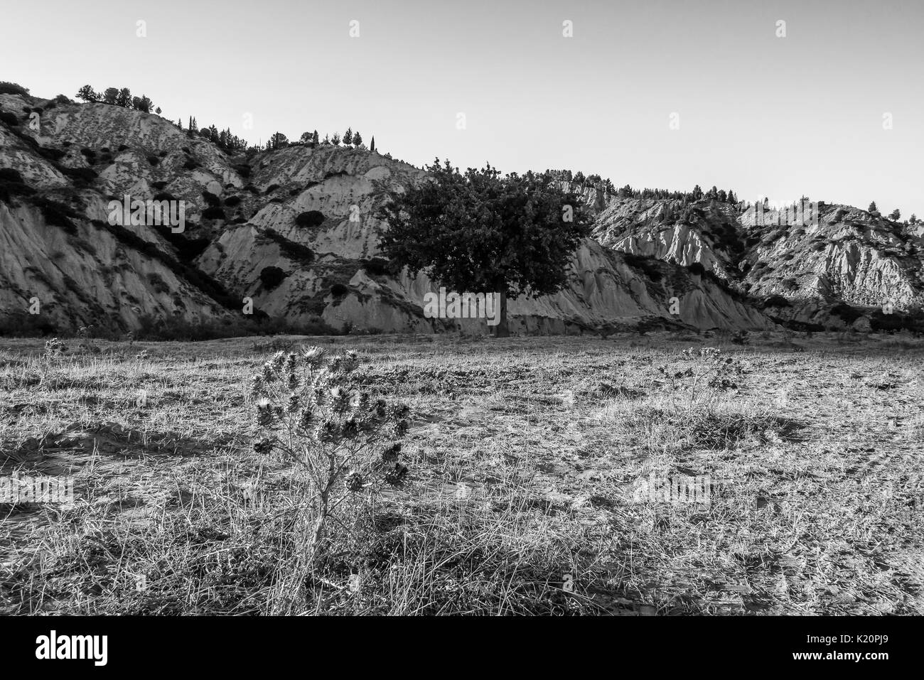 Aliano, Italia - il famoso badlands paesaggio nella regione Basilicata, Italia meridionale Foto Stock