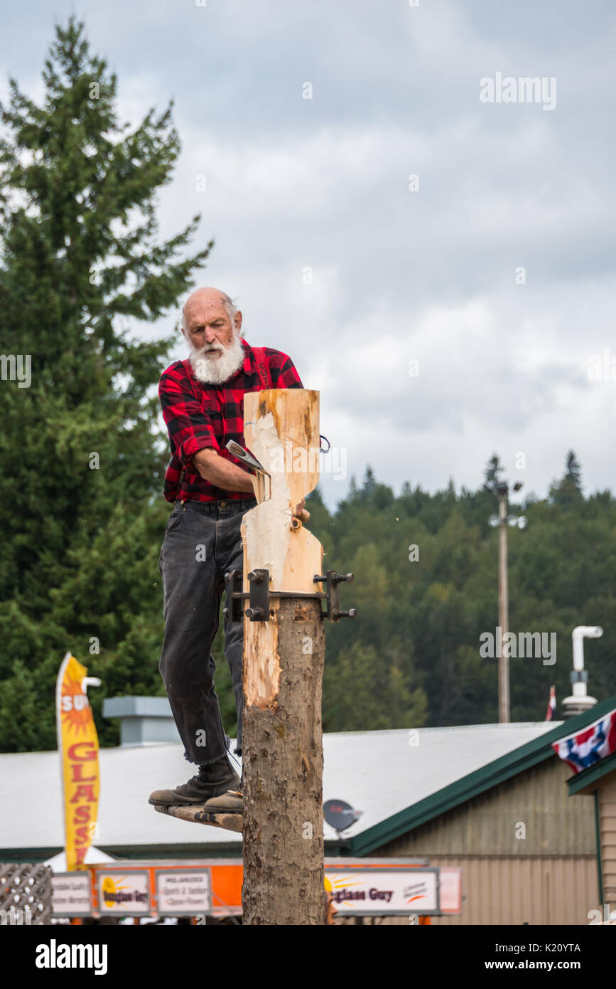 Taglio di legname su Springboard trinciatura di tronco di albero Lumberjack dimostrazione di abilità Evergreen State Fair Monroe Washington Foto Stock