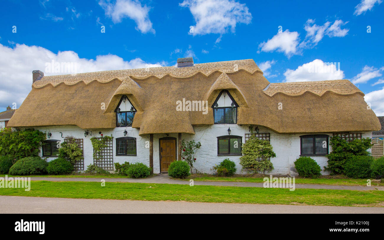 Vista panoramica di pittoreschi cottage con il tetto di paglia con pareti dipinte di bianco sotto il cielo blu a Sutterton, Inghilterra Foto Stock