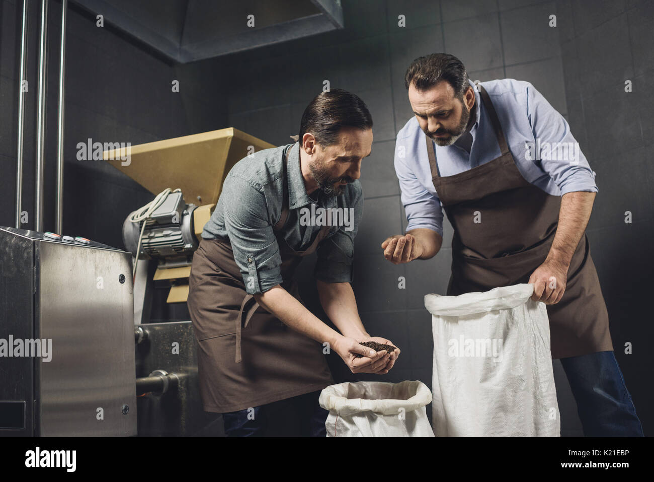 Birreria maschio dei lavoratori di cinghiette di ispezionare sacchi con grani Foto Stock