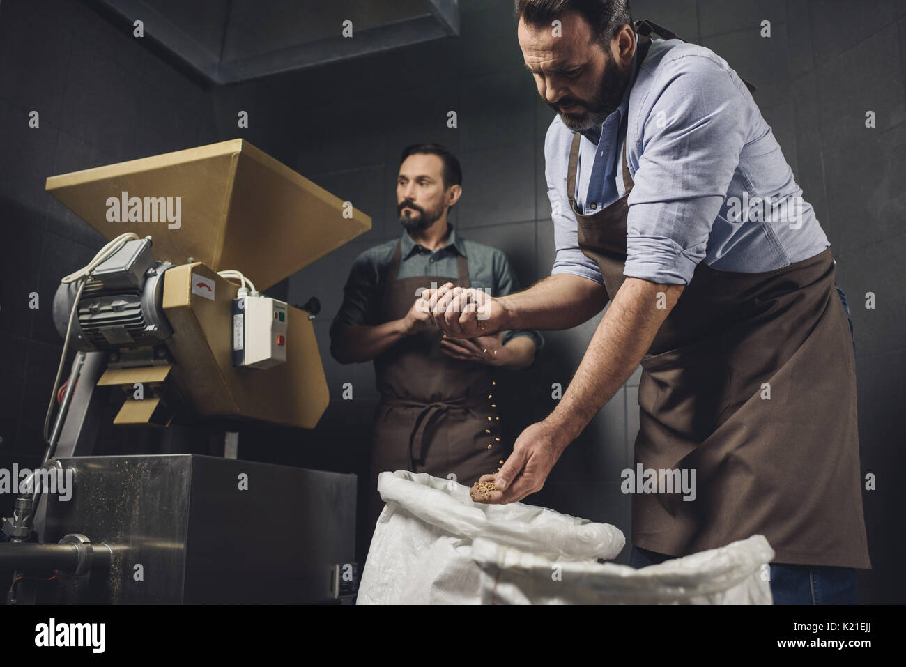 Birreria maschio dei lavoratori di cinghiette di ispezionare sacchi con grani Foto Stock