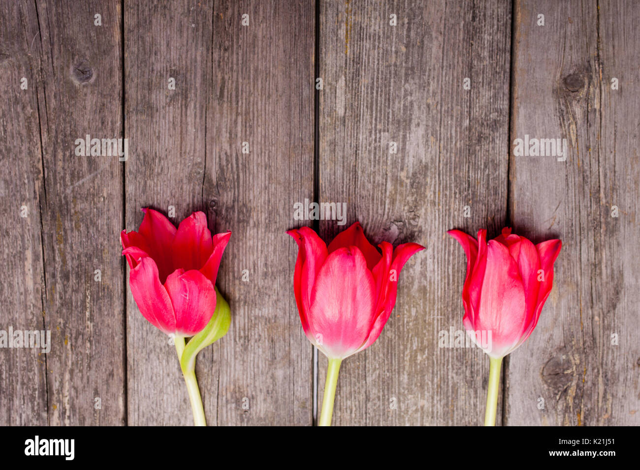 Tre tulipani rossi in una fila sullo sfondo di legno con spazio di copia Foto Stock