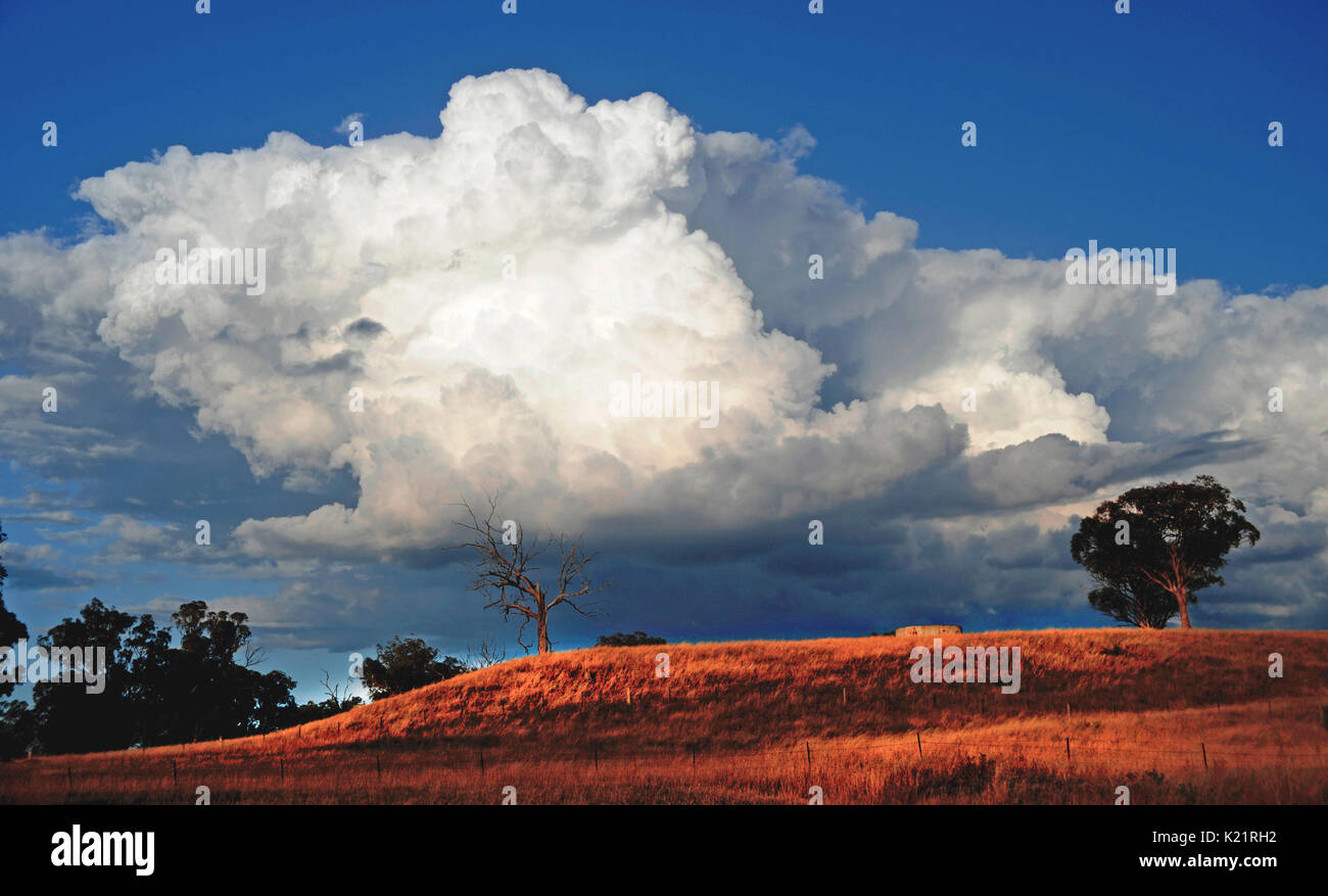 Paesaggio australiano Foto Stock