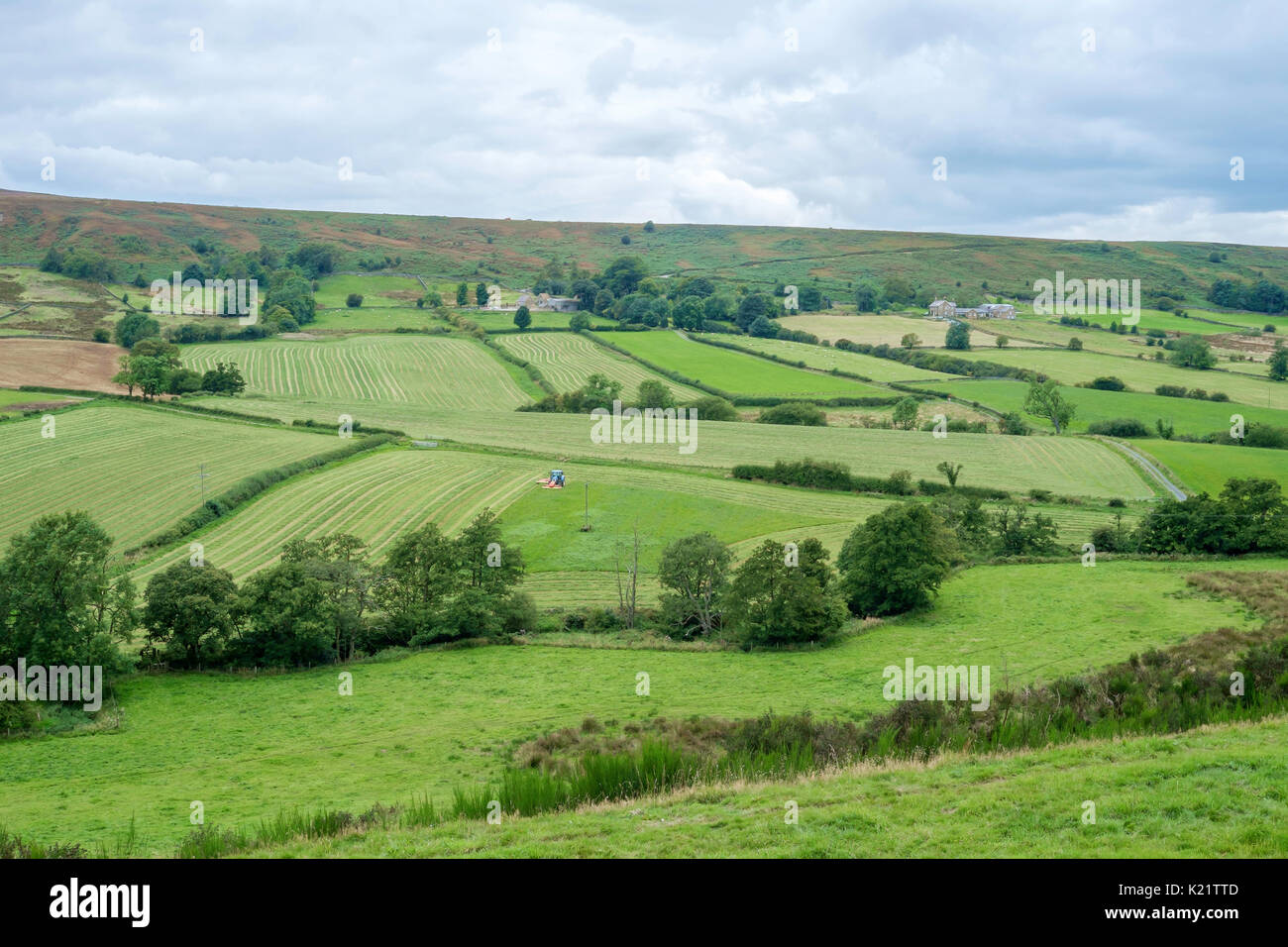 Stagionale lavori agricoli, macchinari di tagliare il fieno per la successiva essiccazione e la pressatura per l'inverno di mangimi per animali. Foto Stock