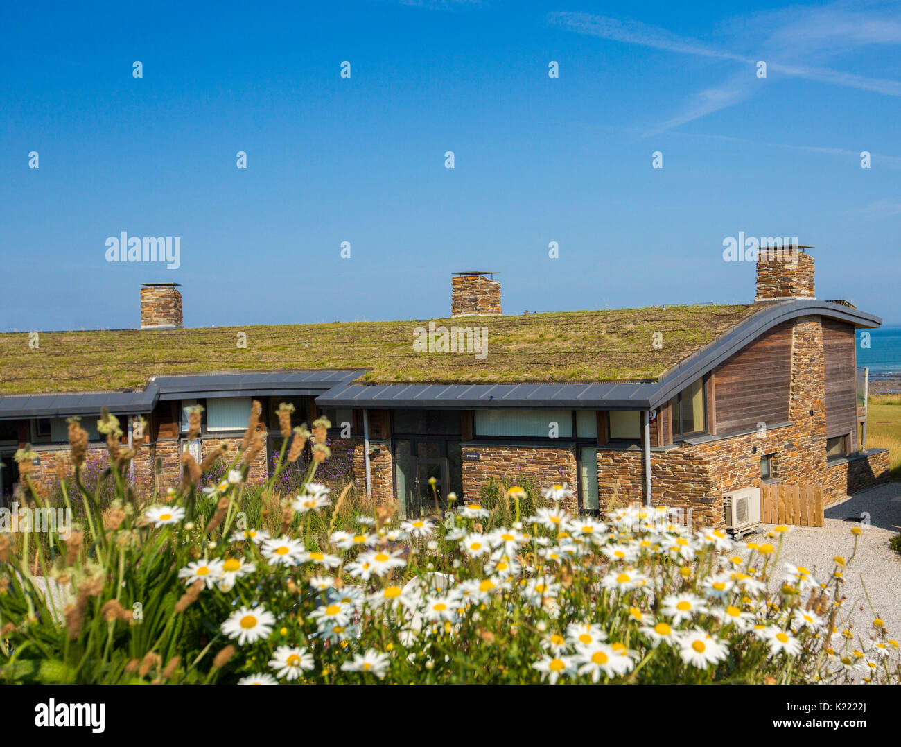 Casa moderna / bungalow con isolante tetto sod / vita verde tetto nero e tubazioni per riscaldamento di acqua solare a Widemouth Bay, Cornwall, Inghilterra Foto Stock