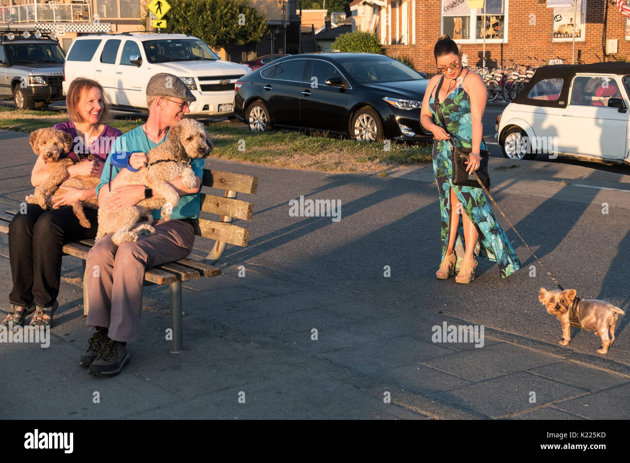Le persone con cani incontro e saluto, Seattle, Washington, Stati Uniti d'America Foto Stock