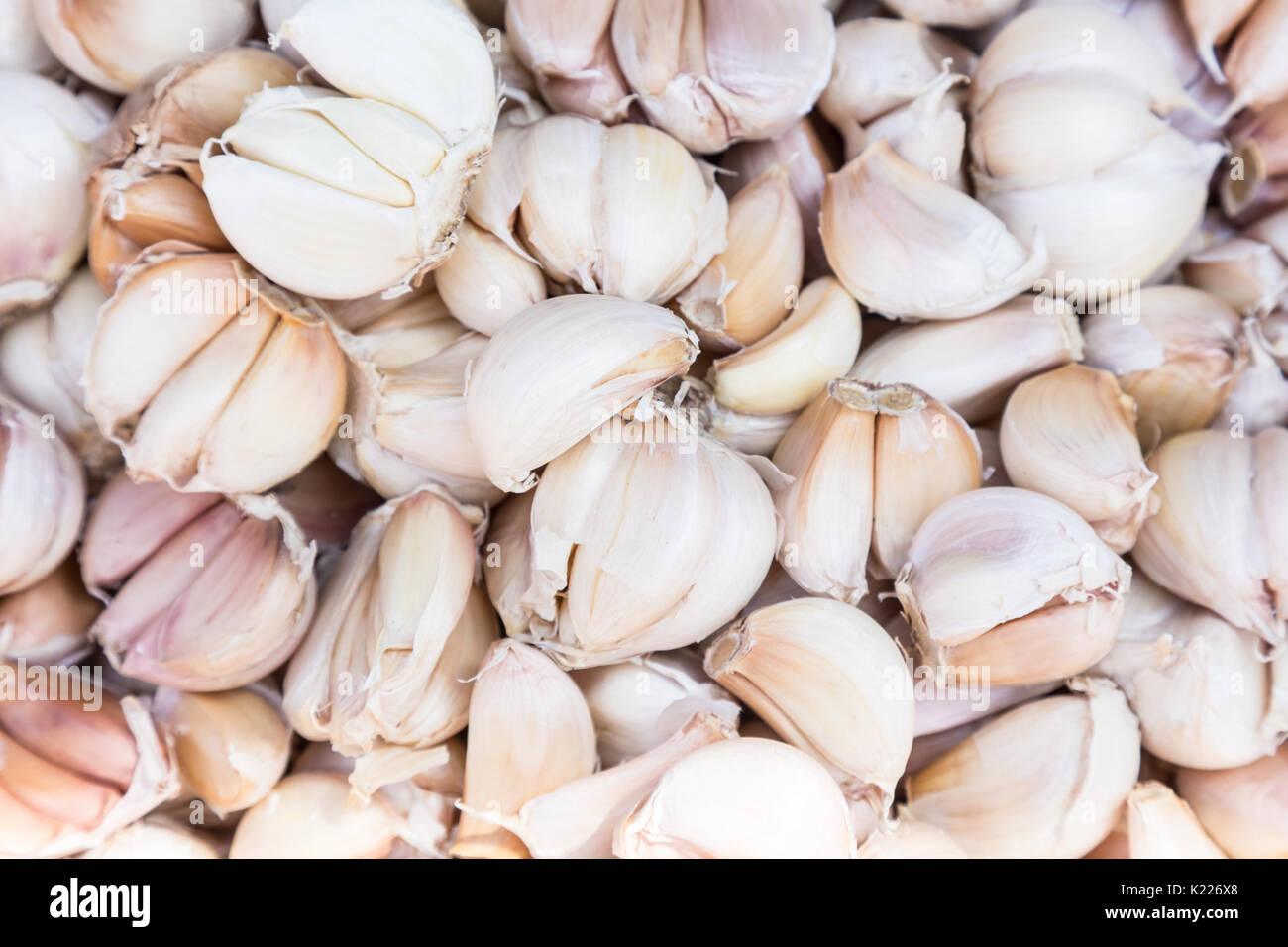 Garlics fresco sul mercato locale. Foto Stock