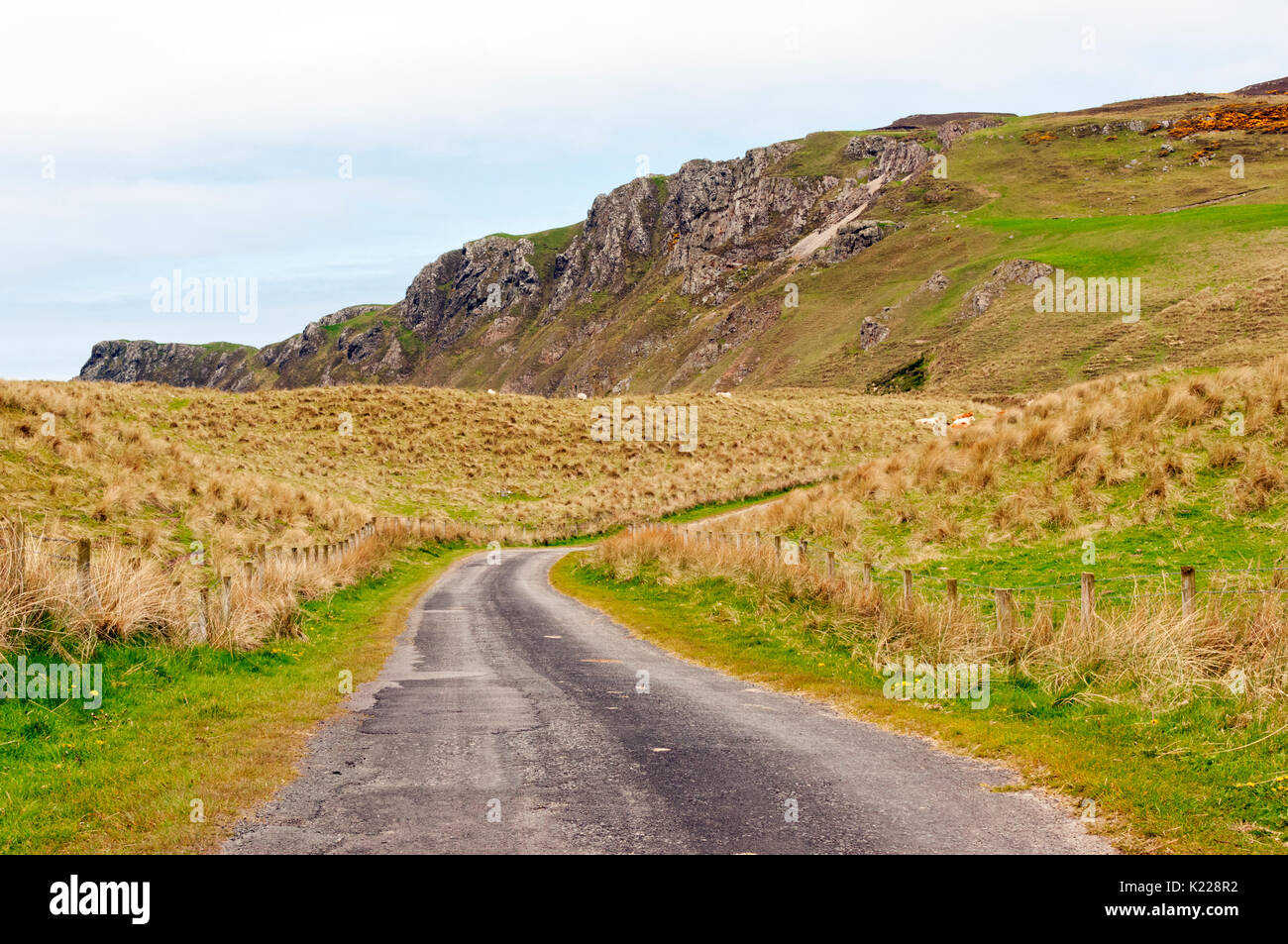 Strada che conduce a cinque dita Strand, Penisola di Inishowen, Irlanda Foto Stock
