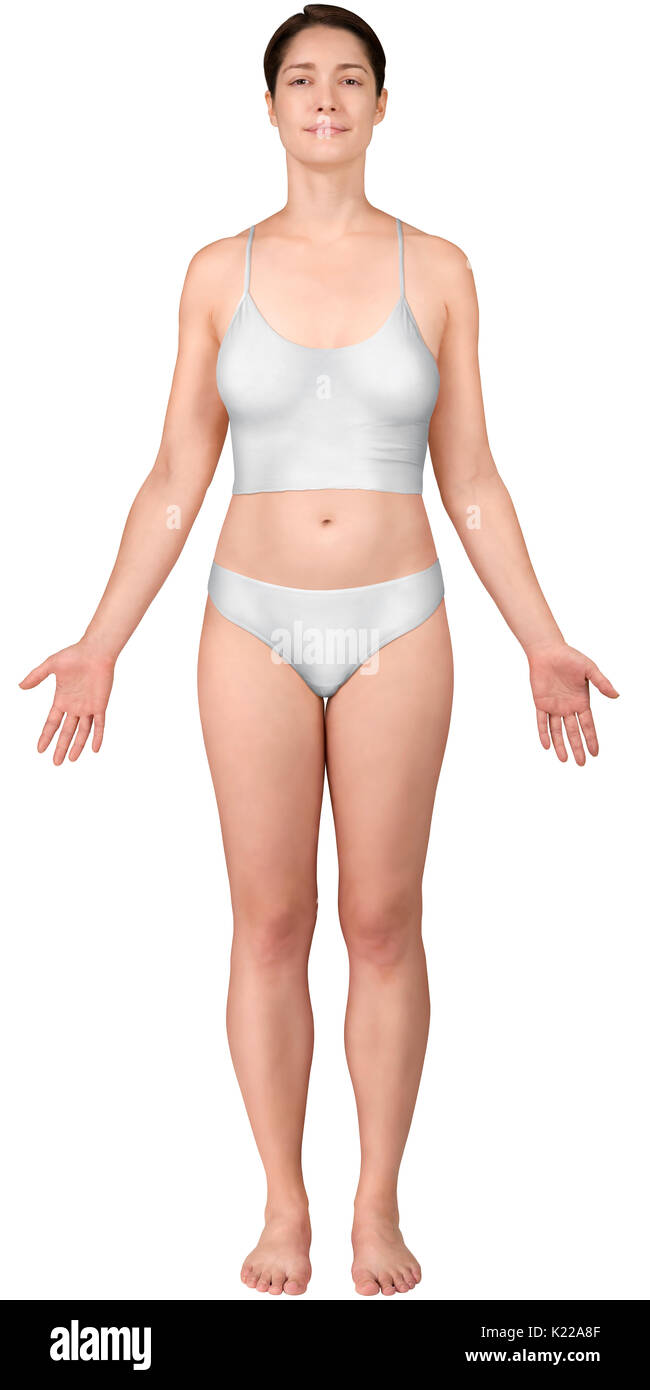 Questa immagine mostra una vista anteriore della donna la morfologia. Foto Stock