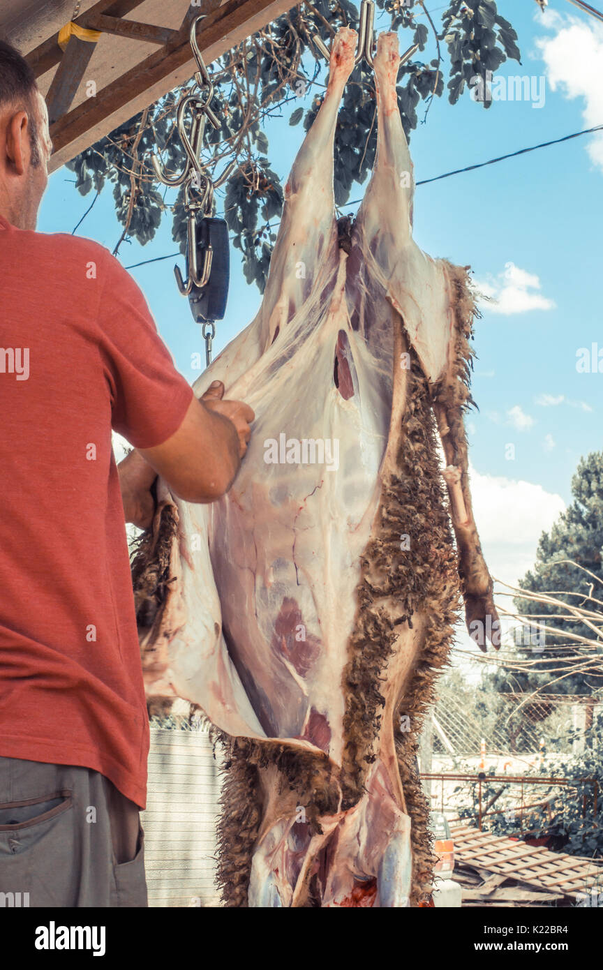 Eskisehir, Turchia - 26 Giugno 2017: macellaio musulmano uomo taglio di una pecora per Eid Al-Adha. Eid al-Adha (Festa del sacrificio) è il secondo dei due holid musulmano Foto Stock