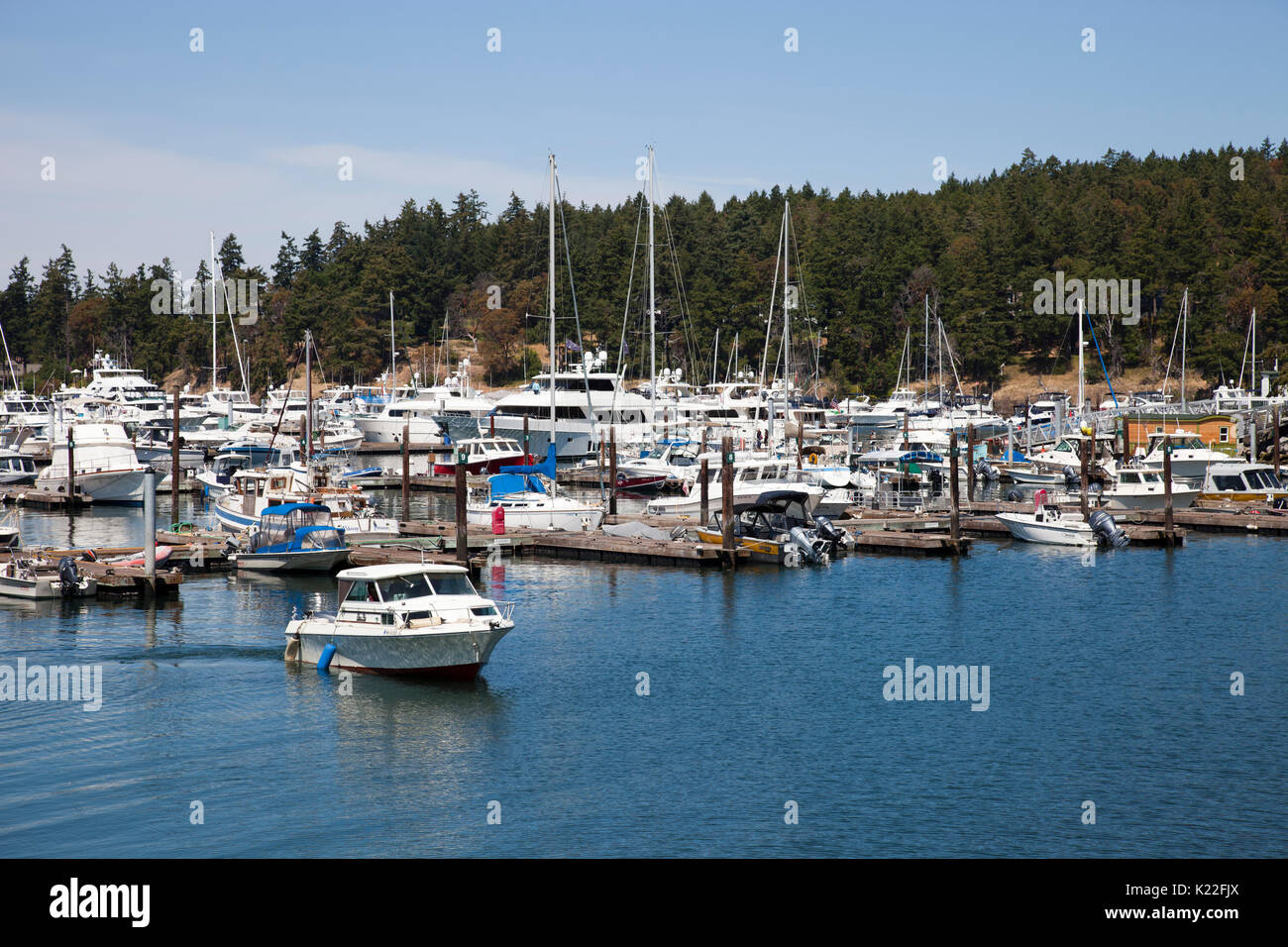 Porto Porto di Roche, San Juan Island, Arcipelago di San Juan Islands, nello Stato di Washington, USA, America Foto Stock