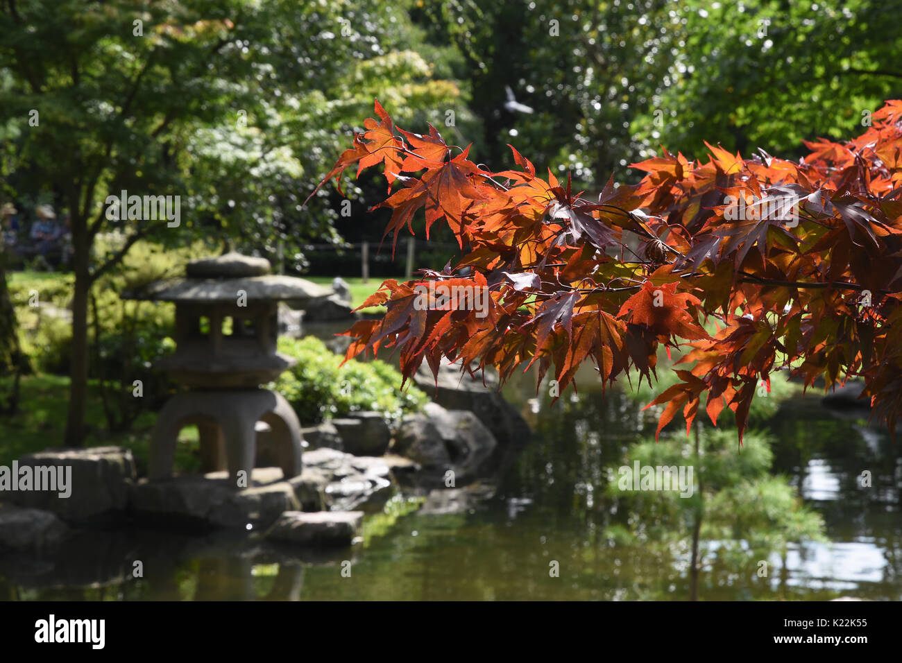 Kyoto Garden,Giardino Giapponese,Holland Park,Kensington,London.UK Foto Stock