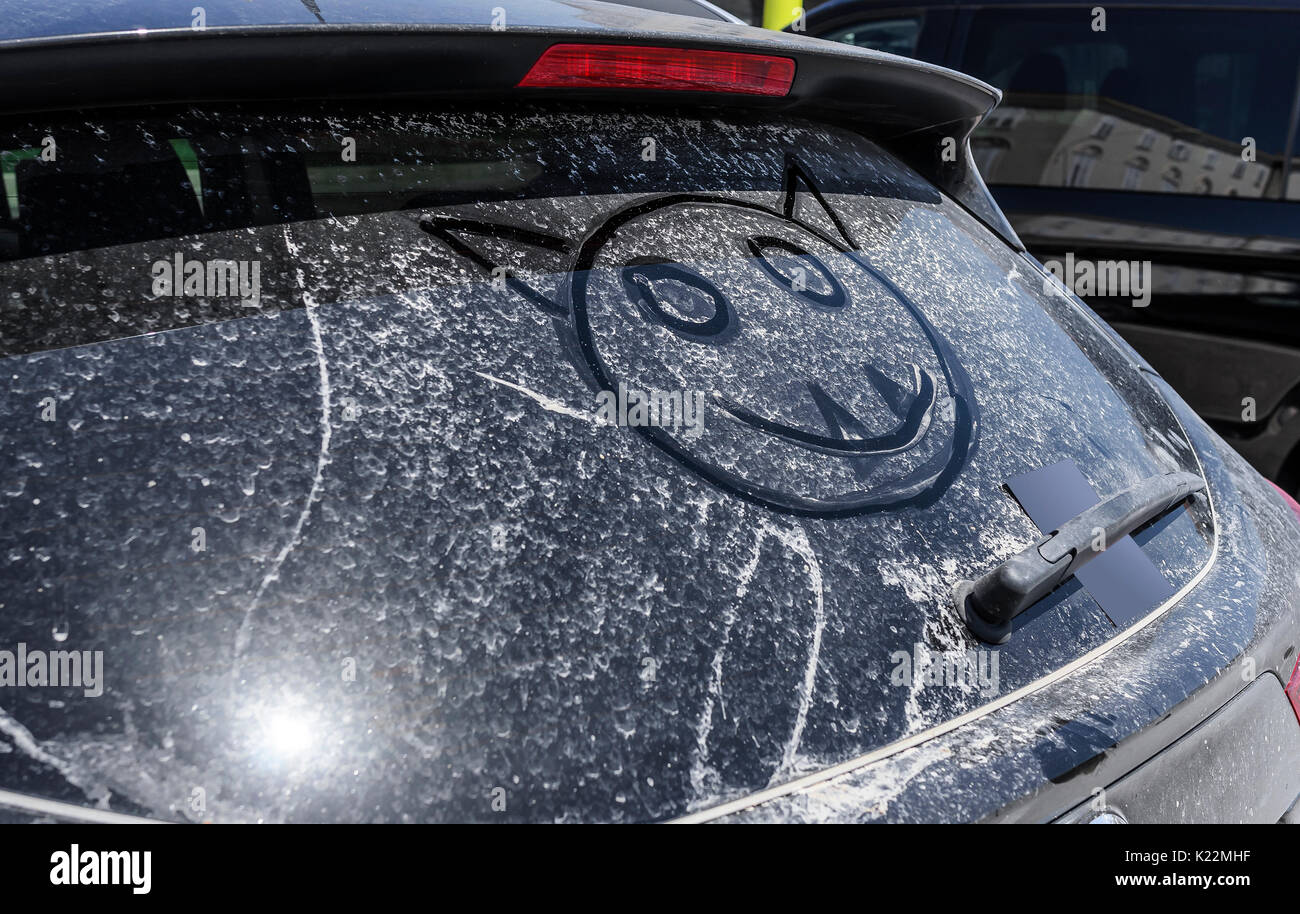 Finestra sporca della vettura. Foto Stock