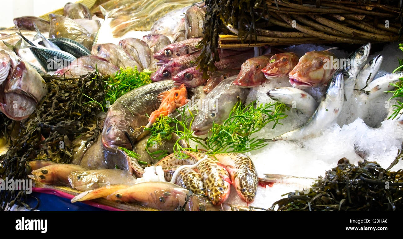 Newlyn, Cornwall, Regno Unito. 28 Agosto, 2017. Parte del gigantesco pesce 'sculpture' a Newlyn Sagra del Pesce, Newlyn, Cornwall, Inghilterra, Regno Unito. Credito: Tony mills/Alamy Live News Foto Stock