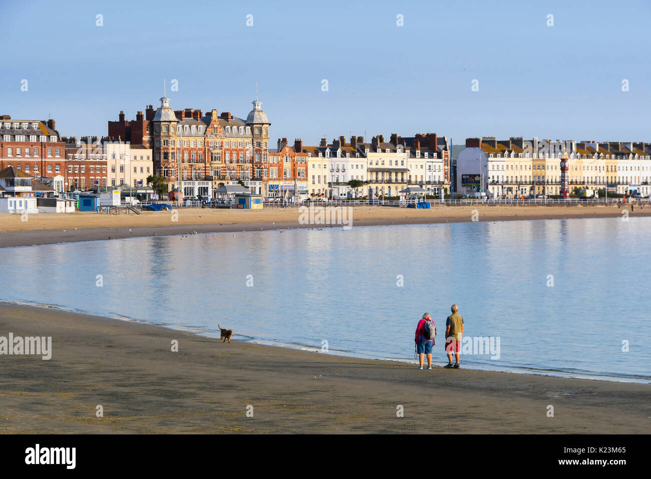 Weymouth Dorset, Regno Unito. Il 29 agosto 2017. Regno Unito Meteo. Dog walkers sulla spiaggia godendosi il caldo fumoso sole mattutino alla stazione balneare di Weymouth. Photo credit: Graham Hunt/Alamy Live News Foto Stock