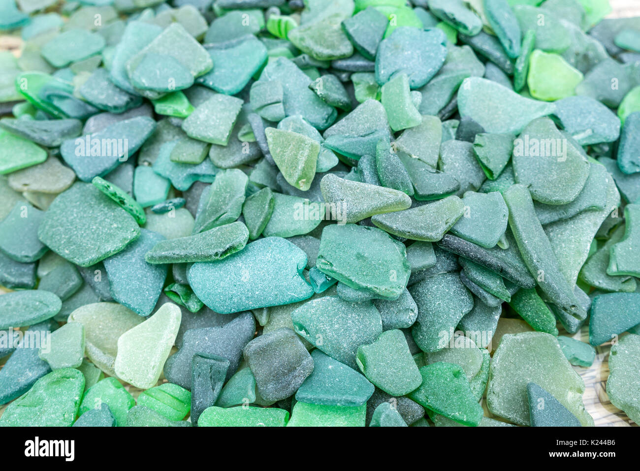 In prossimità del mare indossato sfumature di verde mare raccolta di vetro. Mare pezzi di vetro raccolti da spiagge scozzesi, Scotland, Regno Unito Foto Stock