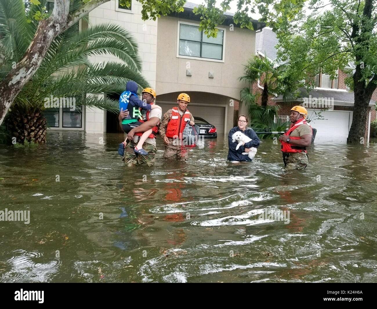 Guardie Nazionali di salvataggio residenti a filamento dopo enormi inondazioni da piogge record sopraffatto le strade e gli edifici di tutta la città dopo l uragano harvey ha colpito la costa del Texas agosto 27, 2016 a Houston, Texas. Foto Stock
