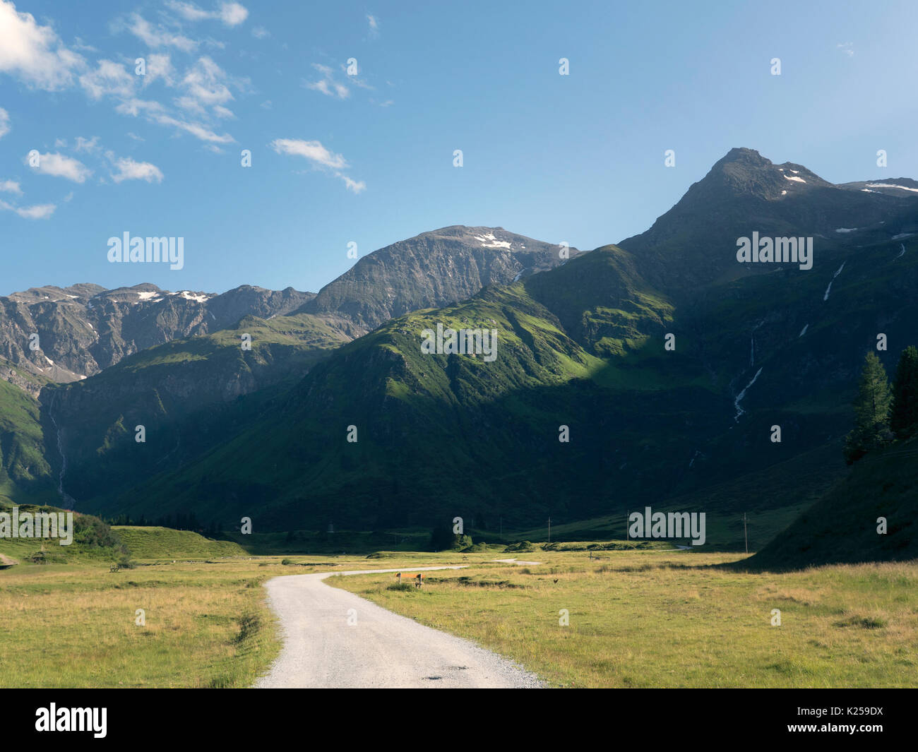 Massiccio alpino, bellissimo canyon alpino in Austria. Alpine della Valle di Gastein in estate. Montagne e pascoli. Aria fresca e sana natura vergine. Foto Stock