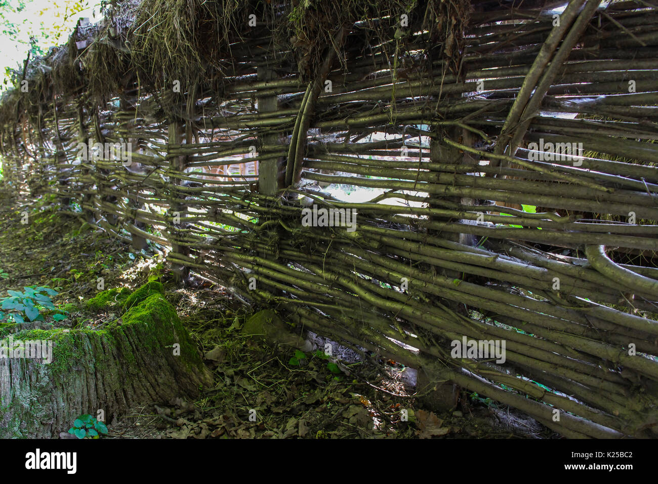 Una recinzione fatta di ramoscello e paglia closeup Foto Stock